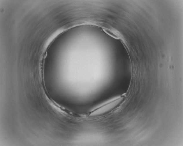 X0000075411151200609291700