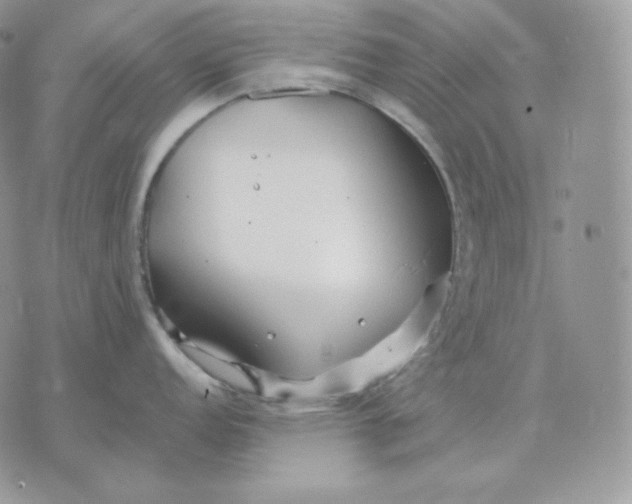 X0000075411152200609291700