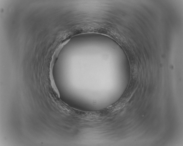 X0000075411153200609291659