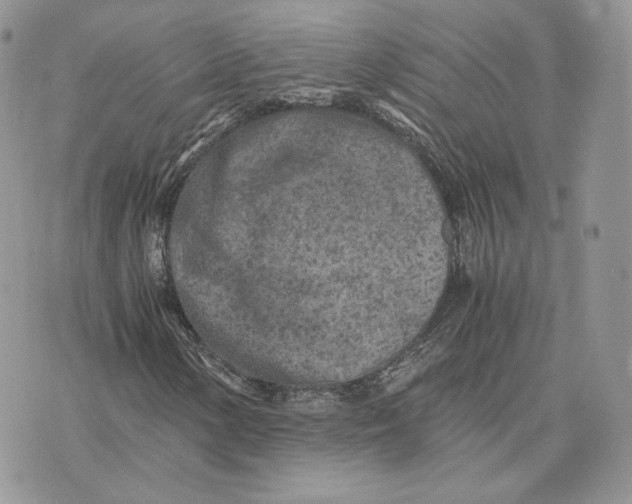 X0000075411154200609291659