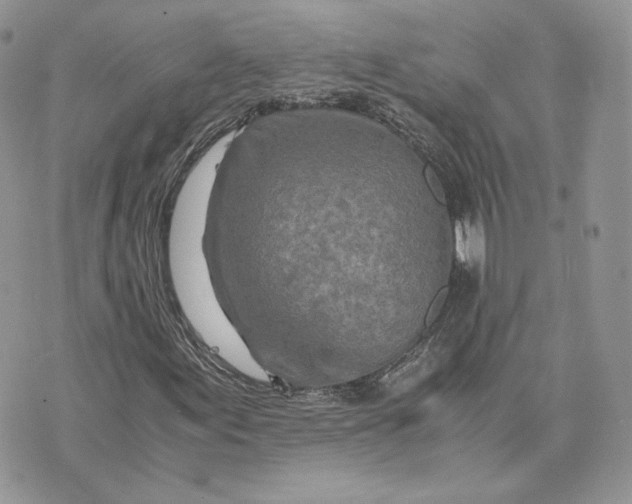 X0000075411155200609291659