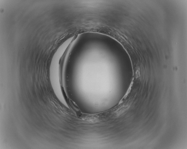 X0000075411156200609291659