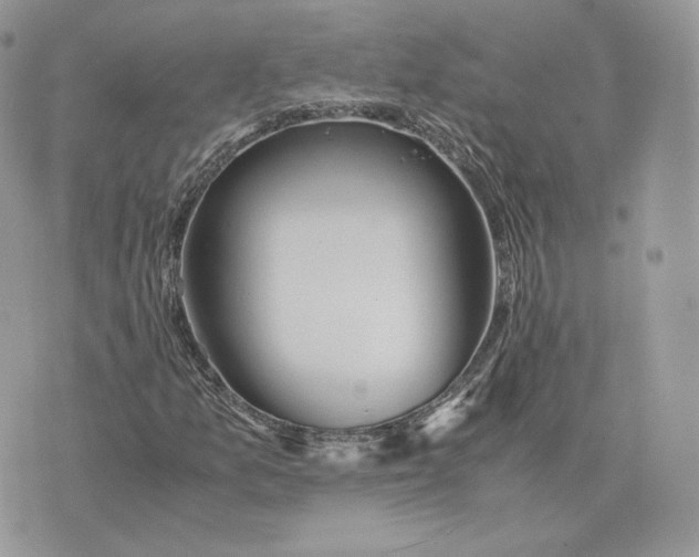 X0000075411157200609291659