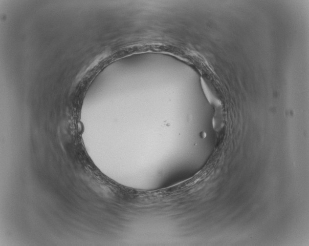 X0000075411159200609291659