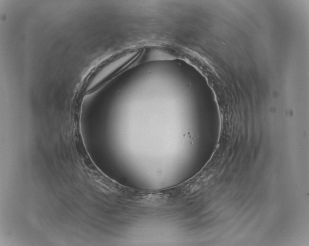 X0000075411160200609291659