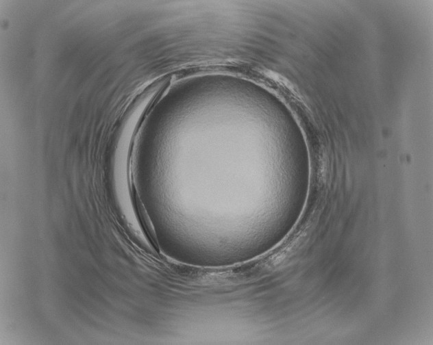 X0000075411161200609291659