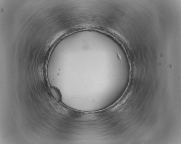 X0000075411162200609291659