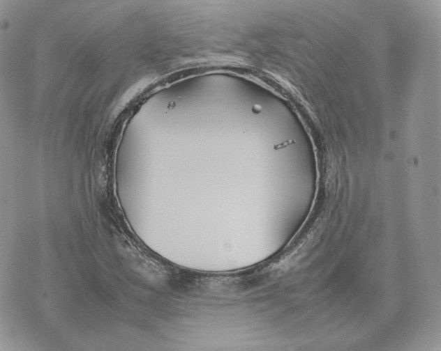 X0000075411163200609291659