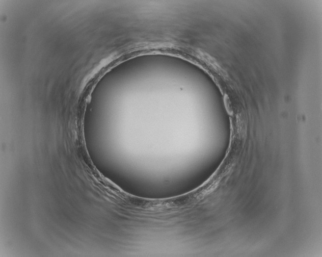 X0000075411165200609291659