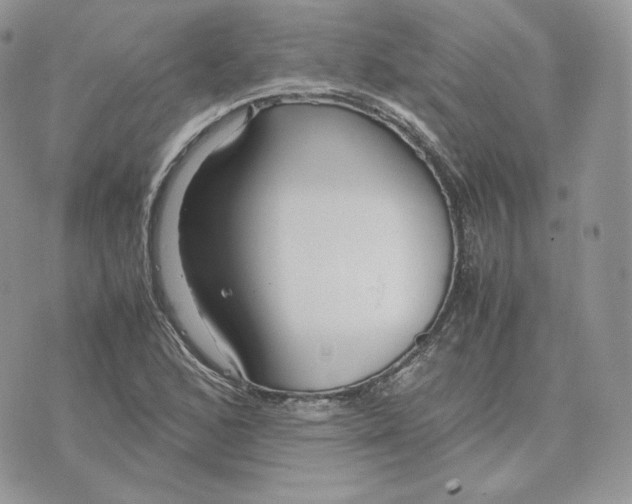 X0000075411168200609291659