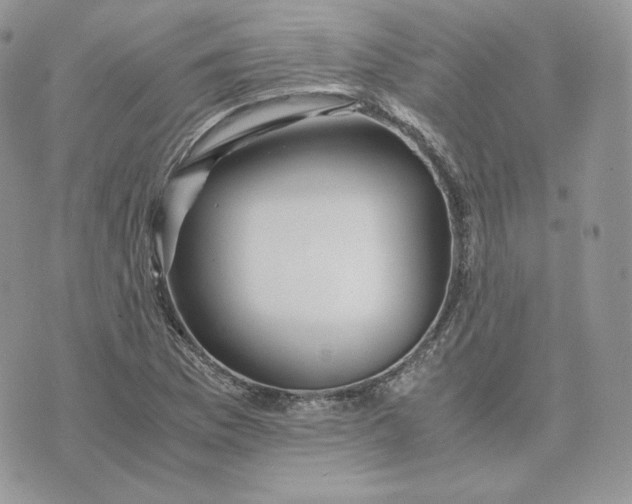 X0000075411169200609291659