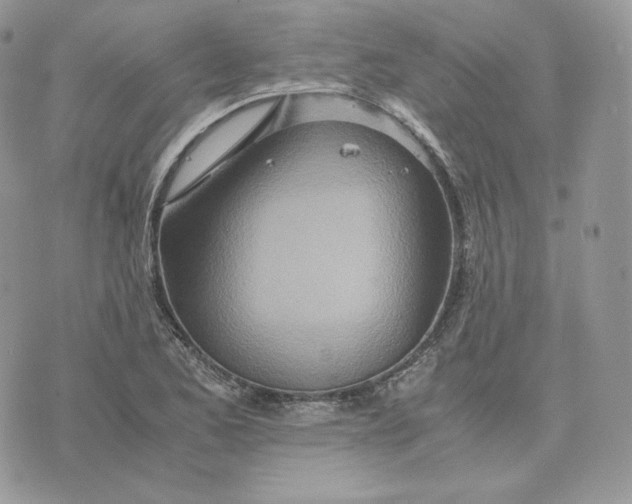 X0000075411173200609291659