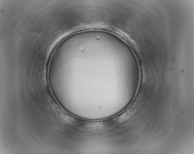 X0000075411174200609291659