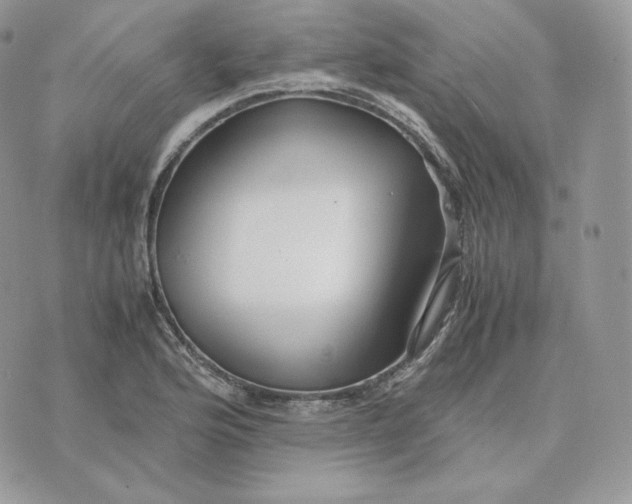 X0000075411176200609291659