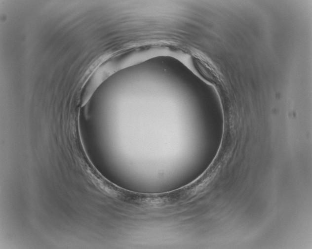 X0000075411177200609291659