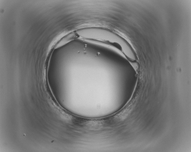 X0000075411179200609291658