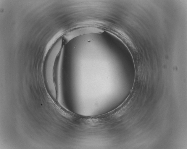 X0000075411180200609291658