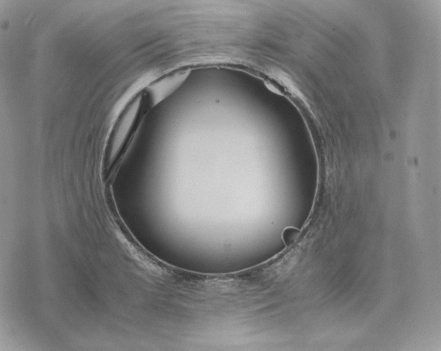 X0000075411181200609291658