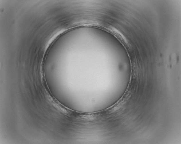 X0000075411182200609291658