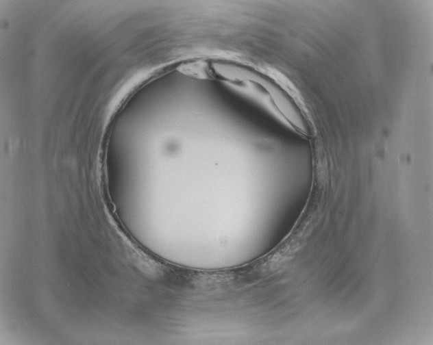 X0000075411183200609291658