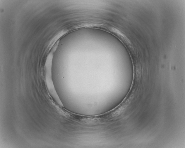 X0000075411185200609291658