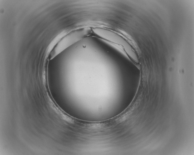 X0000075411188200609291658