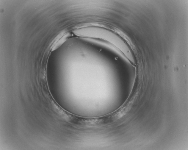 X0000075411193200609291658