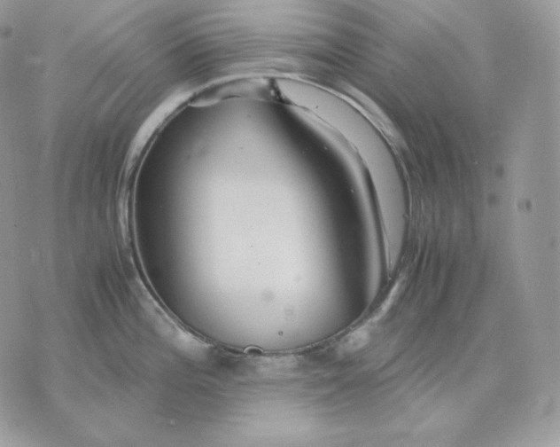 X0000075411196200609291658