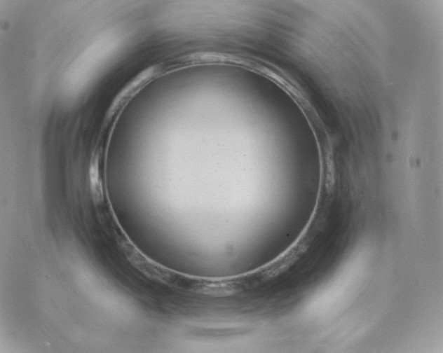 X0000075411198200609291658