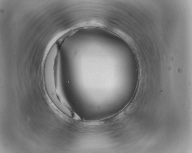 X0000075411200200609291658