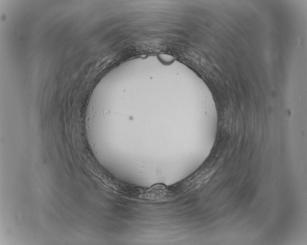 X0000075411201200609291657