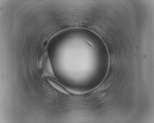 X0000075411202200609291657