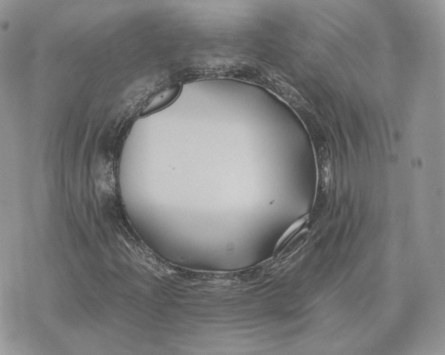 X0000075411204200609291657