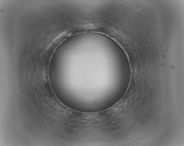 X0000075411205200609291657