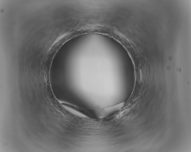 X0000075411206200609291657