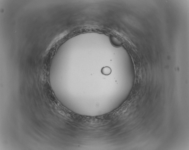 X0000075411207200609291657