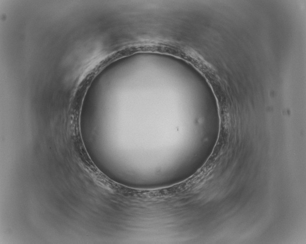 X0000075411208200609291657