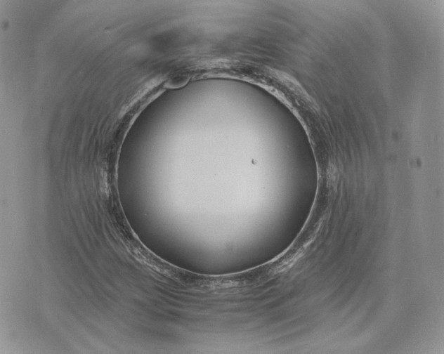 X0000075411209200609291658