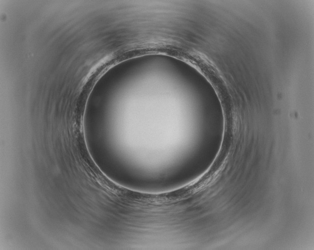 X0000075411210200609291658