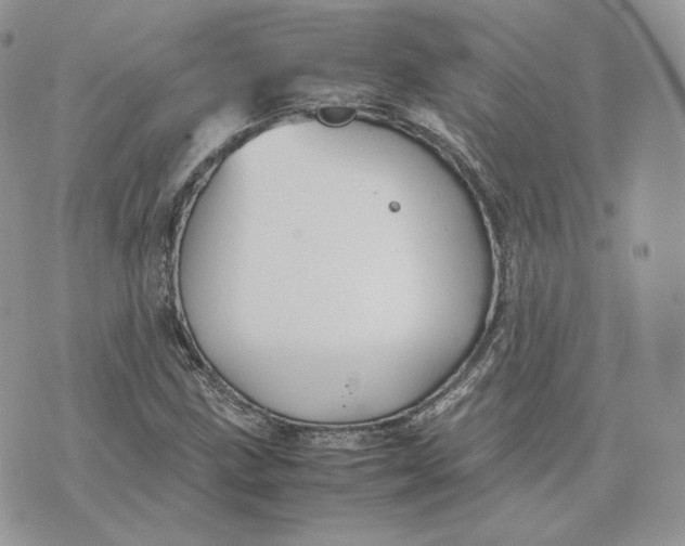 X0000075411211200609291658