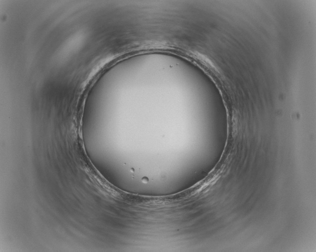 X0000075411212200609291658