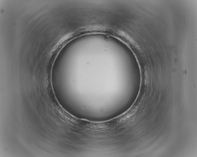 X0000075411213200609291658