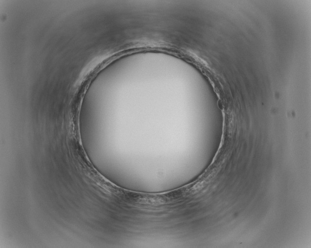 X0000075411215200609291658