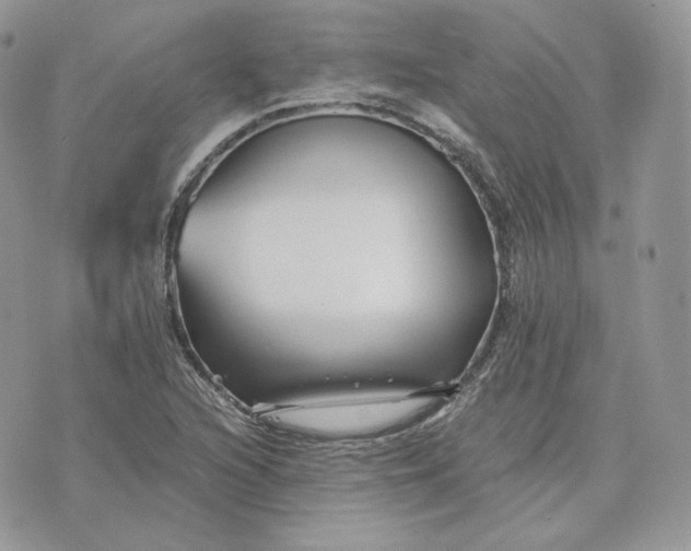 X0000075411216200609291658