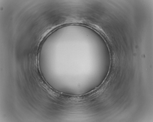 X0000075411220200609291658