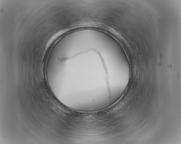 X0000075411222200609291658