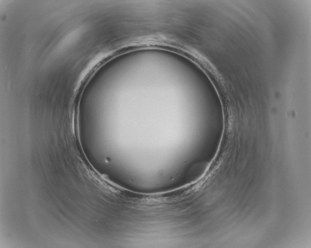 X0000075411224200609291658