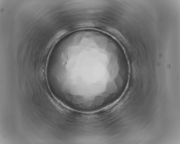 X0000075411225200609291658