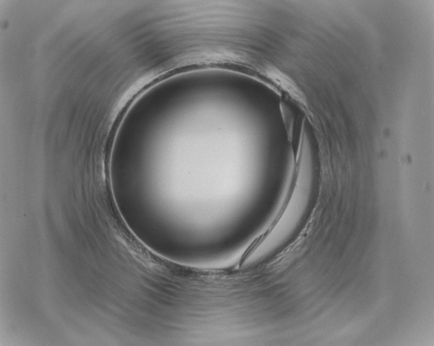 X0000075411226200609291658