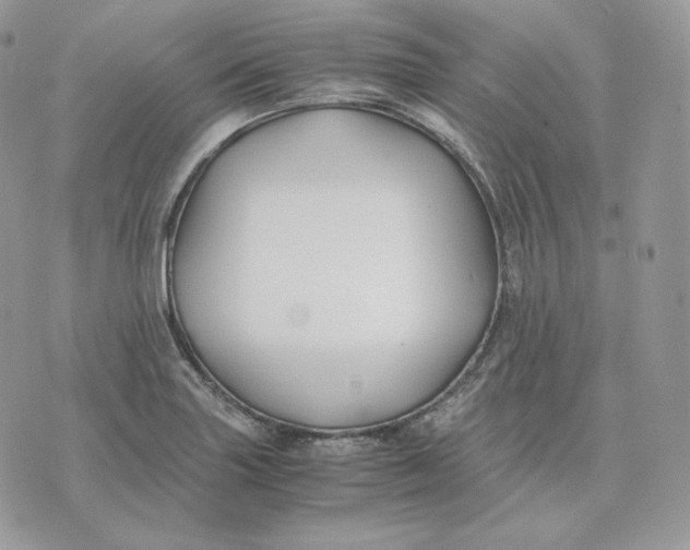 X0000075411227200609291658